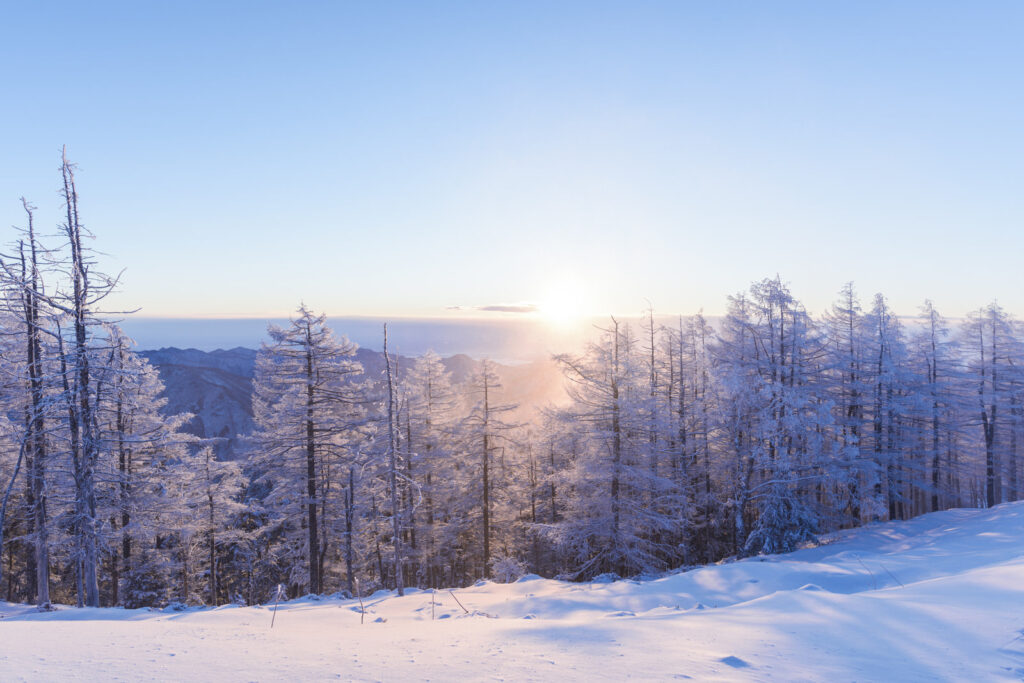冬の北海道の景色です。
晴れた朝は素晴らしい景色が広がっております。
