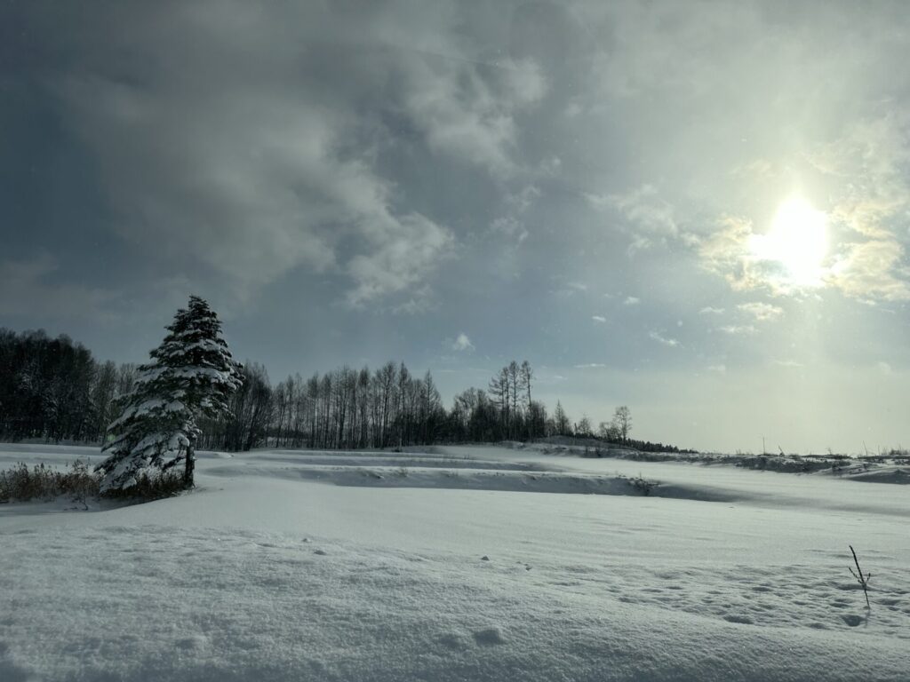 旭川の郊外の写真です。
大雪が降った後の景色です。