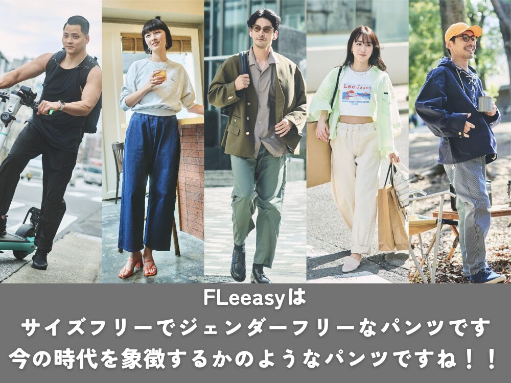 FLeeasyの画像です