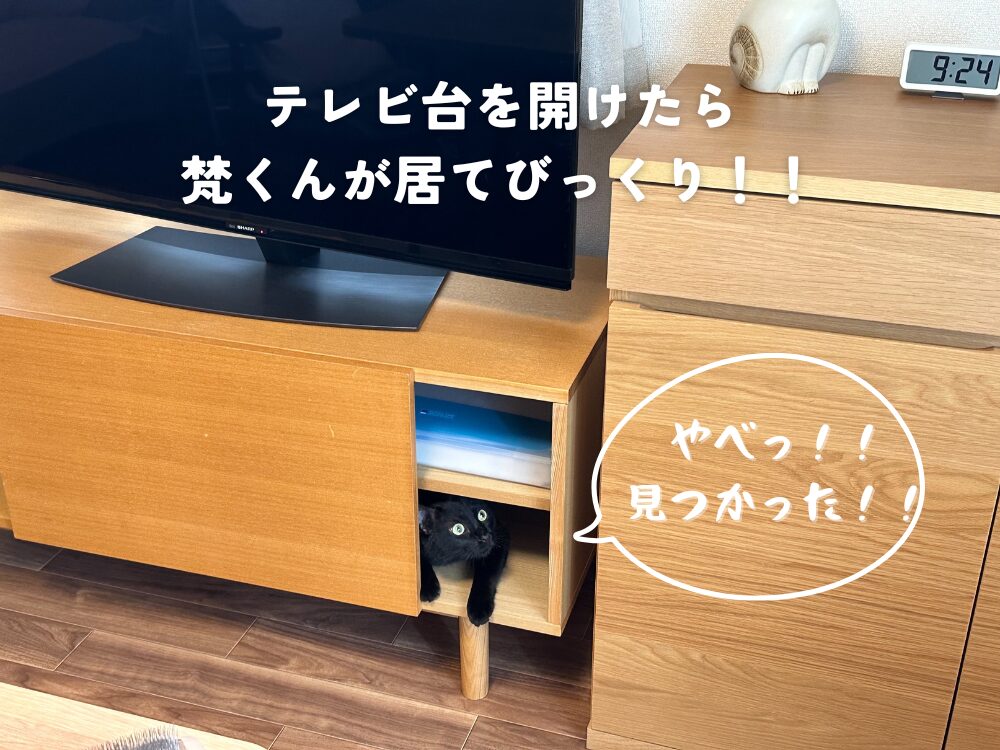 テレビ台を開けたら・・・