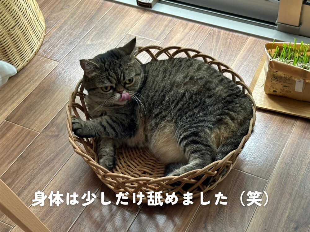 お気に入りのカゴベッドで・・・