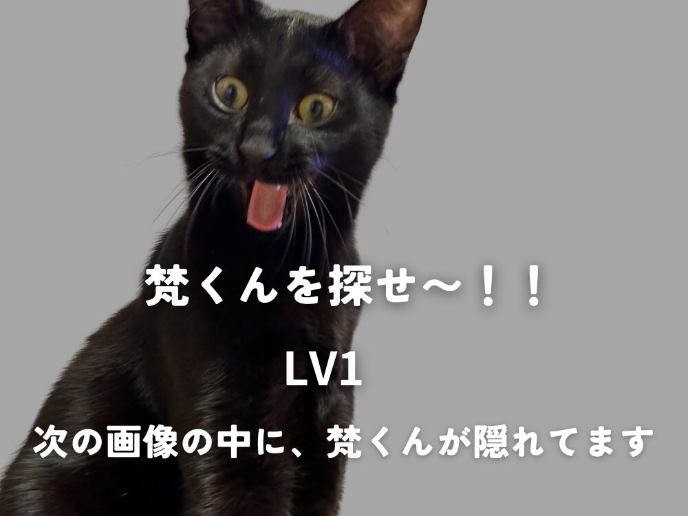 梵くんを探せ〜！！LV1