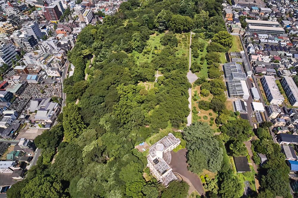 小石川植物園の画像です