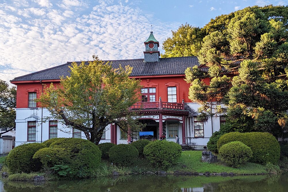 小石川植物園の画像です