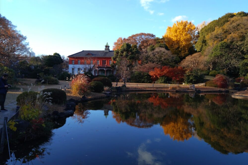 小石川植物園の画像です