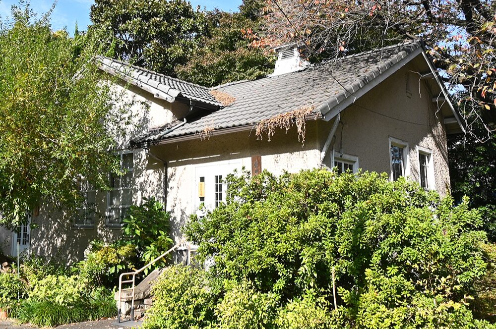 小石川植物園の画像です