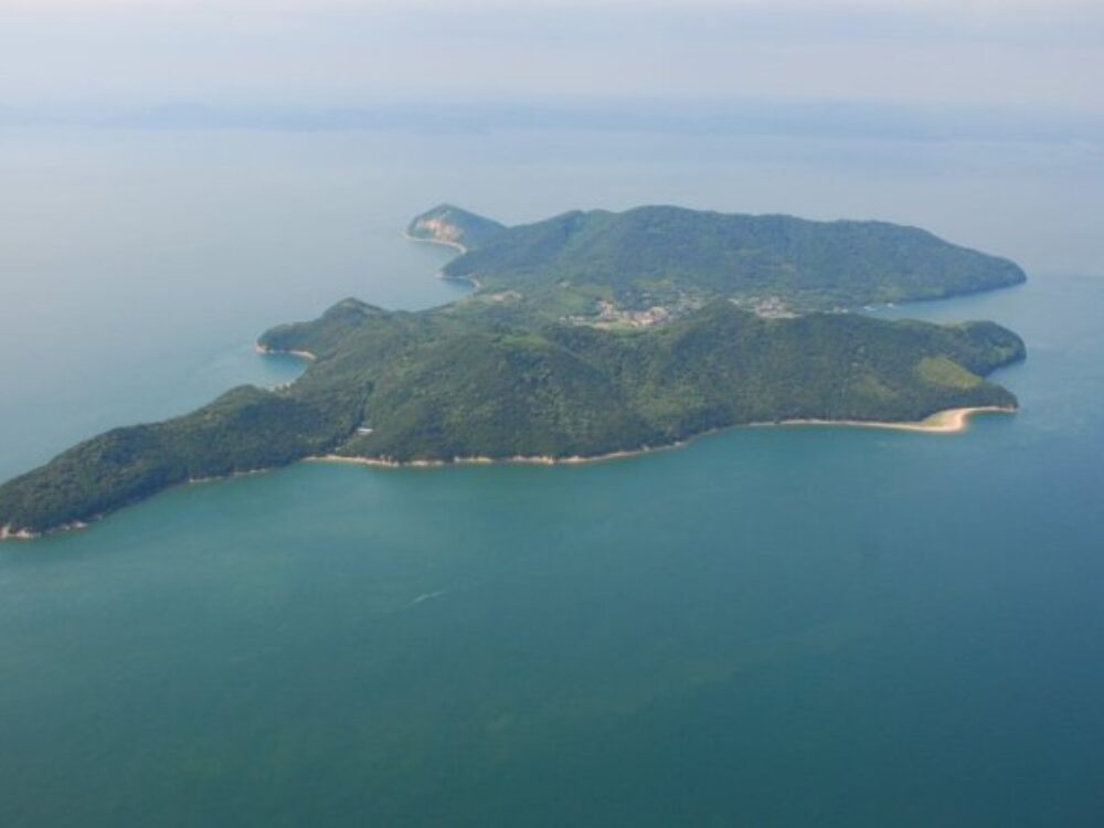 手島の画像です