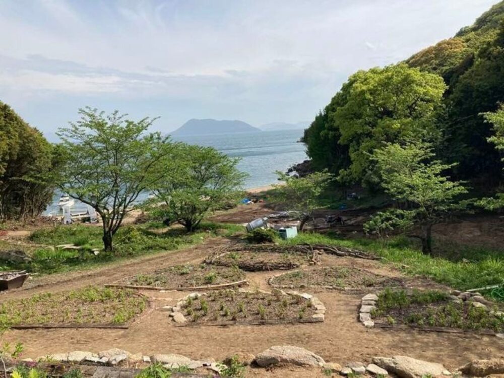 手島の画像です