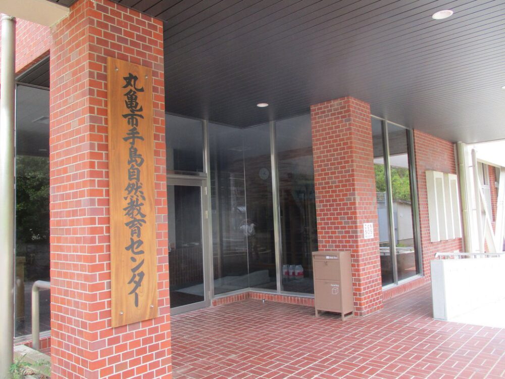 手島の画像です