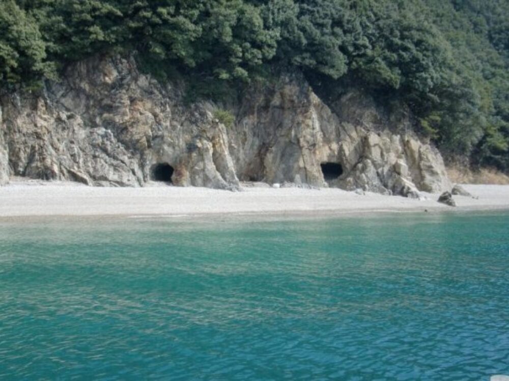 手島の画像です