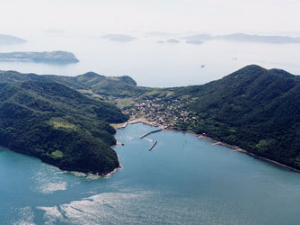手島の画像です