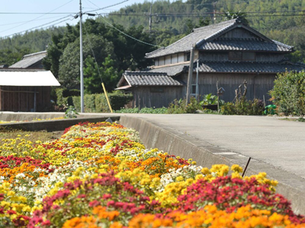 手島の画像です