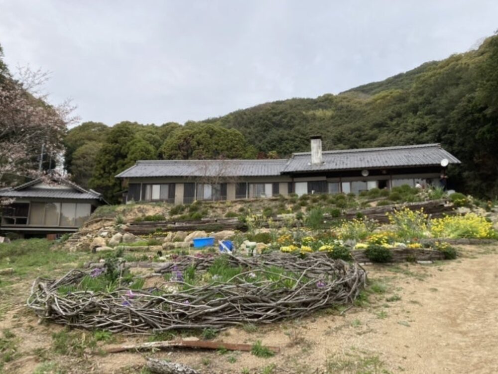 手島の画像です