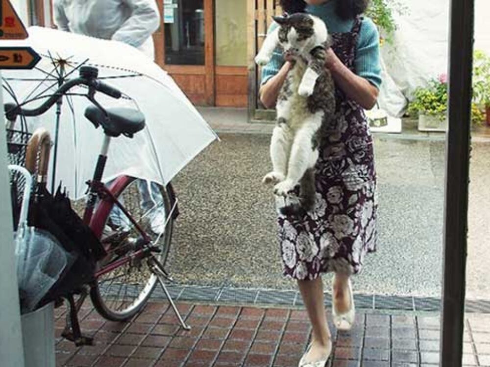 先代の「モモちゃん」の画像です