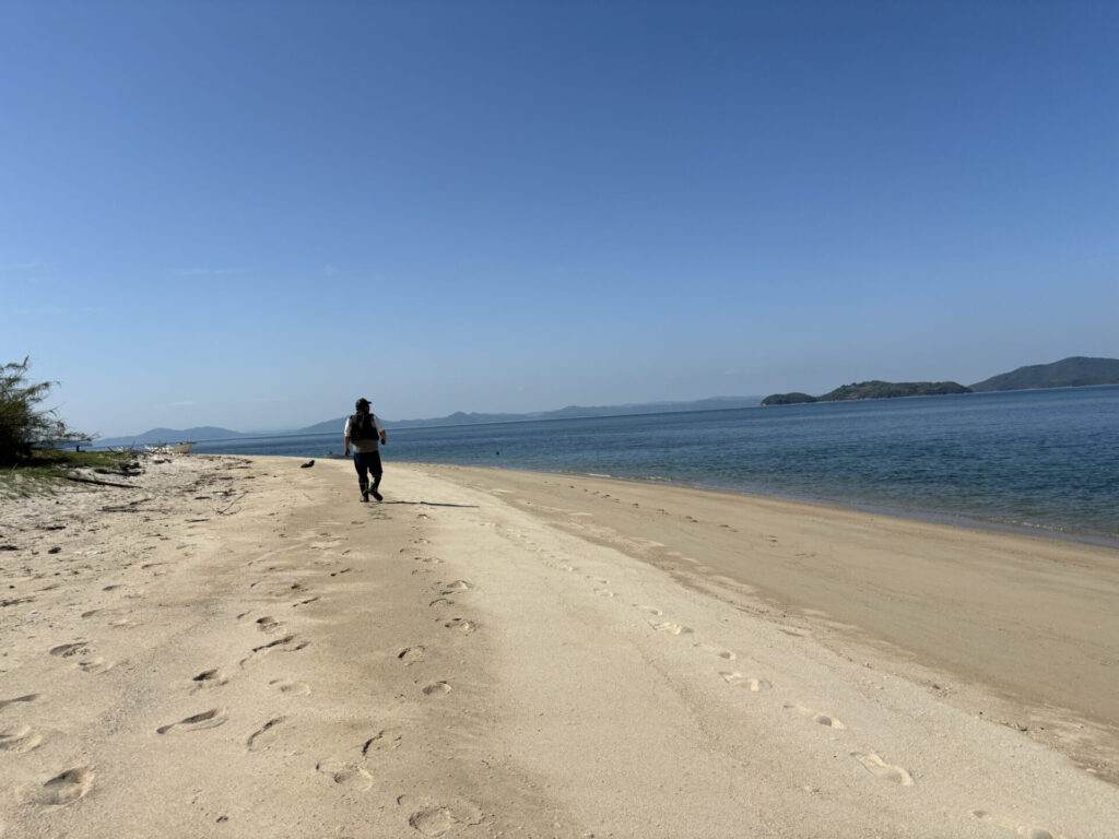 哲島の画像です