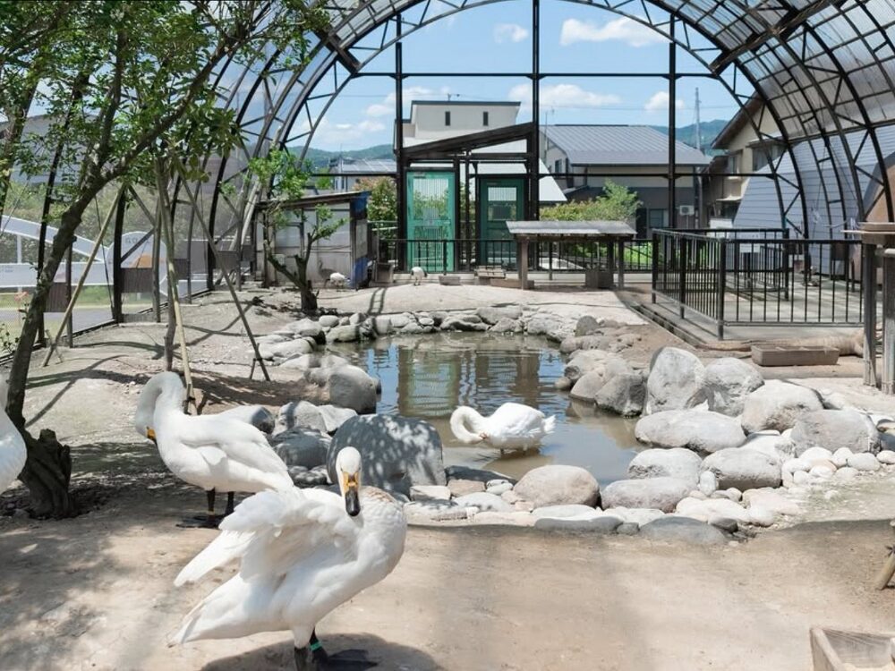 河北町児童動物園の画像です