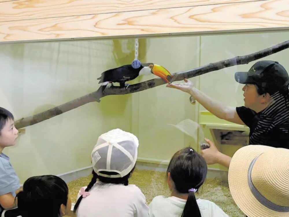 河北町児童動物園の画像です