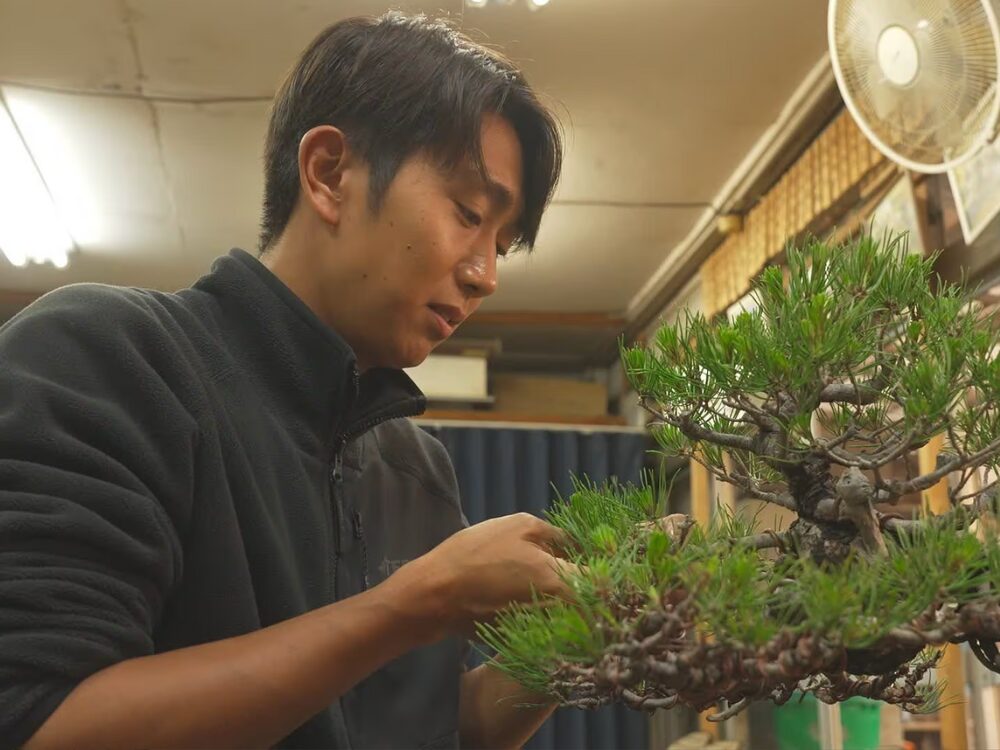 藤樹園の画像です
