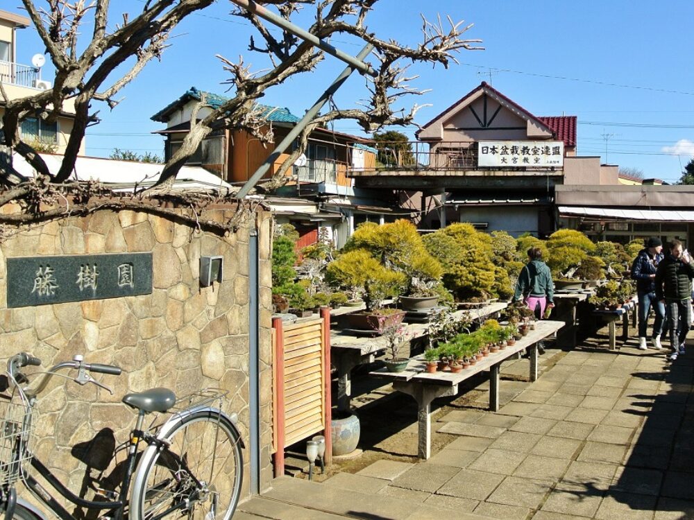 藤樹園の画像です