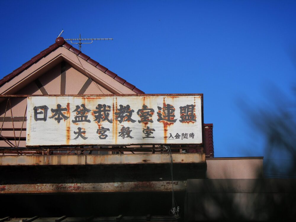 藤樹園の画像です