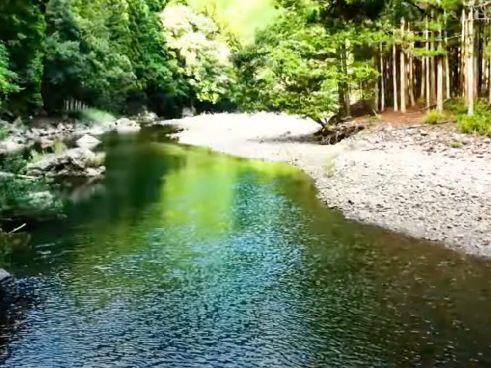 和歌山県白浜町大瀬の画像です