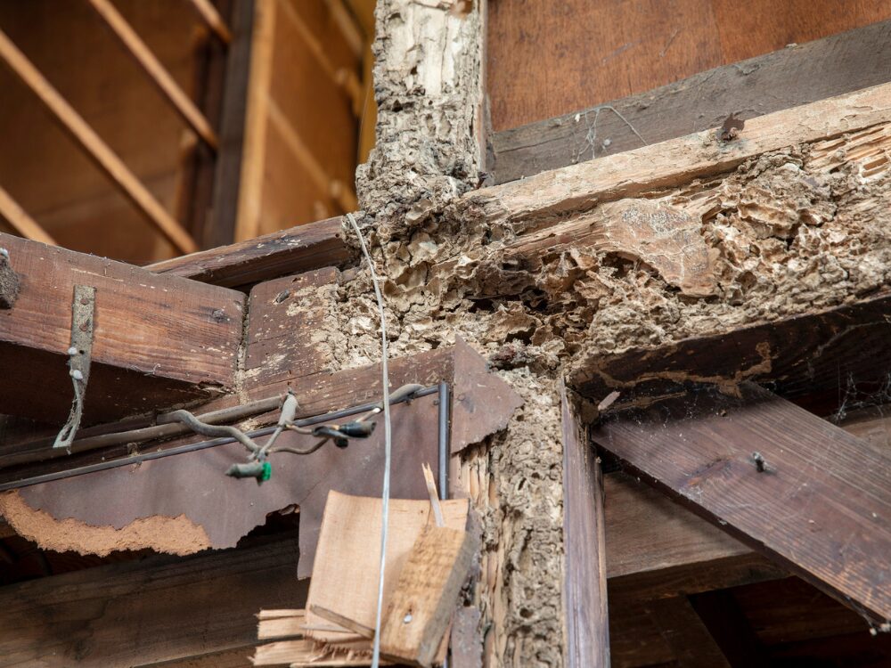 古民家購入の注意点とアドバイスの画像です