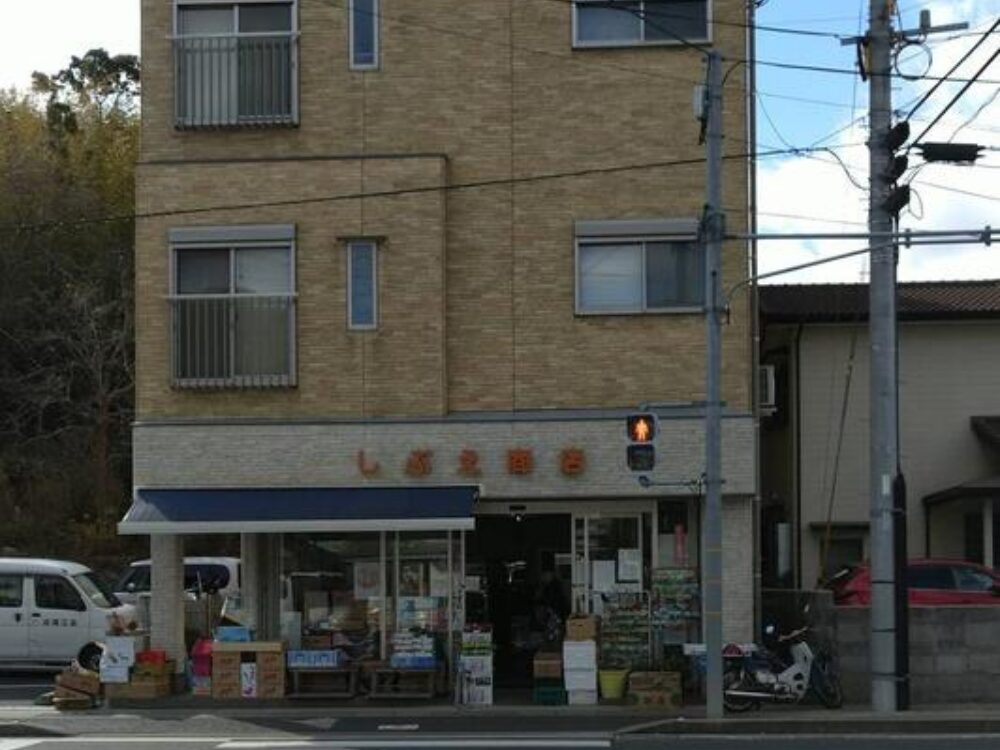 澁江商店の画像です