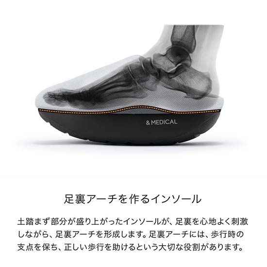 KAMOLEG 2.0の画像です