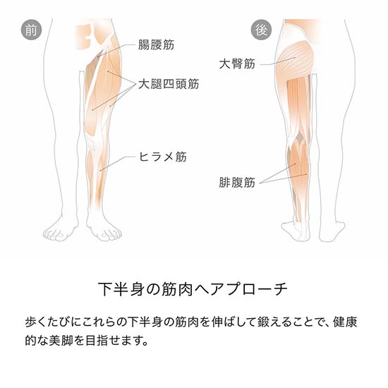 KAMOLEG 2.0の画像です