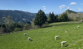 やまま牧場の画像です